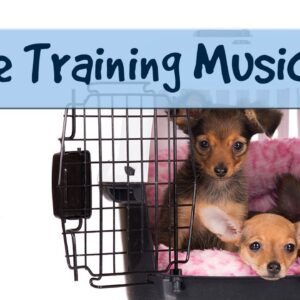 Music for Dogs During Crate Training - Use Relax my Dog to Keep your Pet Calm.