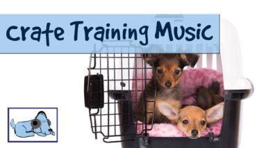 Music for Dogs During Crate Training - Use Relax my Dog to Keep your Pet Calm.