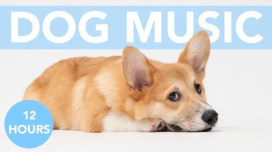 Dog Sleep Music: 12 HOURS of Calming Sleep Lullabies for Dogs!