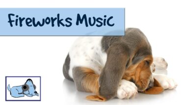 Music for Scared Dogs in Fireworks! Frightened Dogs, Anxious Dogs, Los Fuegos Artificiales