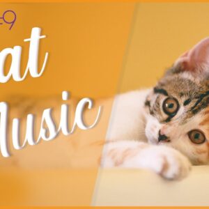 FAST ACTING Cat Relaxation Music #9 (Deluxe Album)