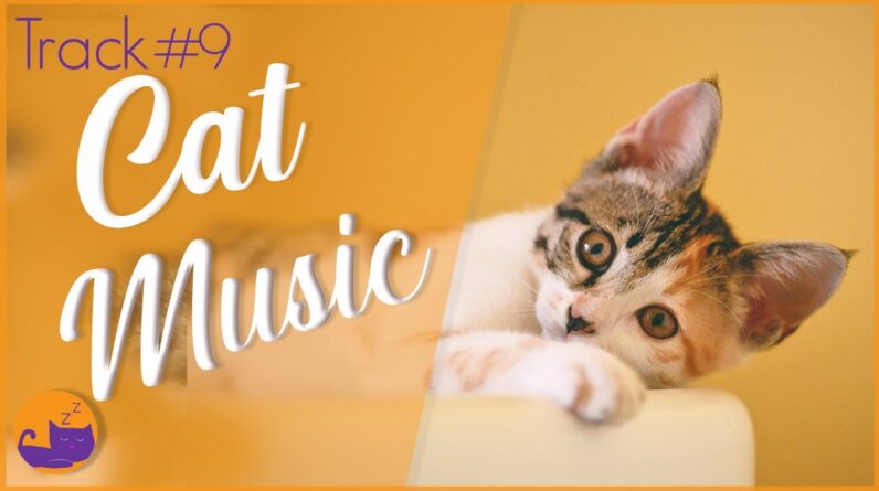 FAST ACTING Cat Relaxation Music #9 (Deluxe Album)