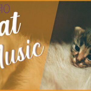 FAST & EFFECTIVE Anti-Anxiety Songs for Cats #10 (deluxe album)