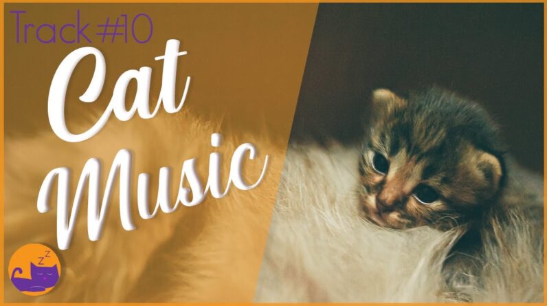 FAST & EFFECTIVE Anti-Anxiety Songs for Cats #10 (deluxe album)