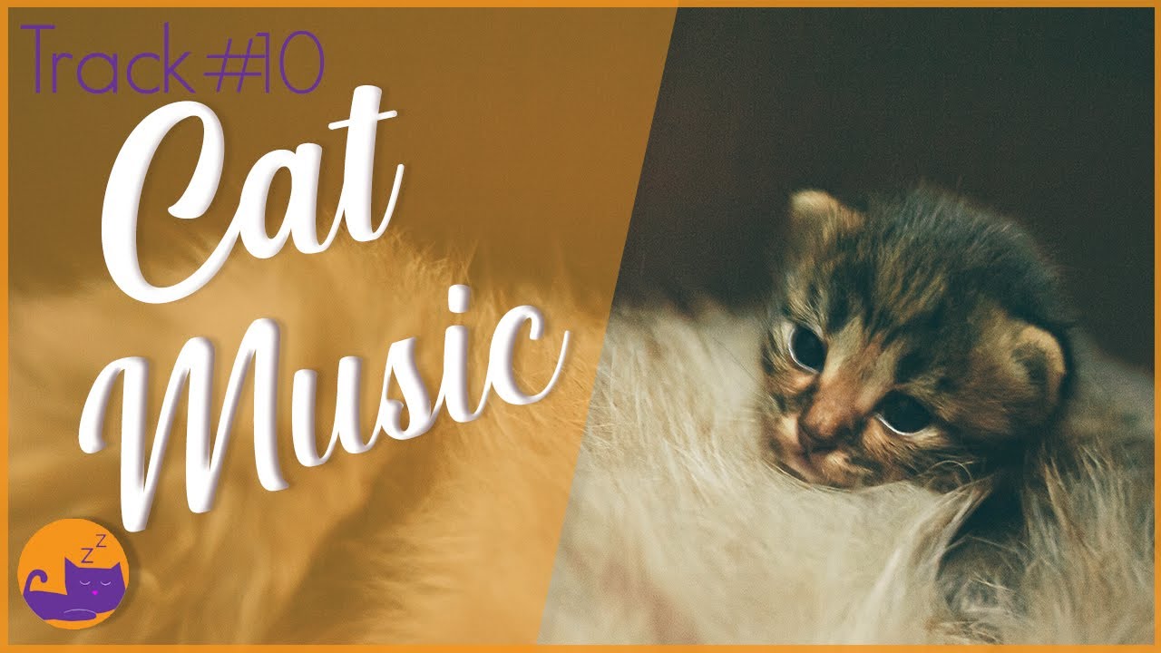 FAST & EFFECTIVE Anti-Anxiety Songs For Cats #10 (deluxe Album)