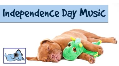 Music to Help Dogs During Fireworks - Independence Day July 4th - Peaceful Music for Stressed Dogs!