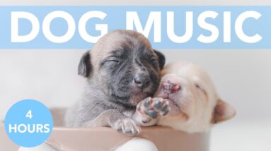 Music for Puppies! Relaxing Songs to Keep Your Puppy Calm! NEW 2021!