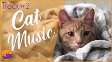 Relax My Cat - #2 Intense Bonding Music (DELUXE ALBUM)