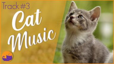 Relax My Cat - #3 The Playtime Track (DELUXE ALBUM)