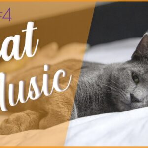 Relax My Cat - #4 EXTRA SOOTHING Cat Relaxation (Deluxe Album)