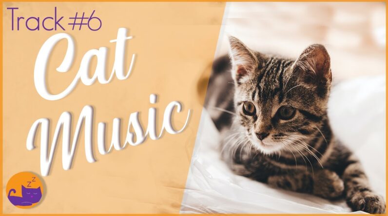 Relax My Cat - #6 FAST Anti-Anxiety Relief (Deluxe Album)