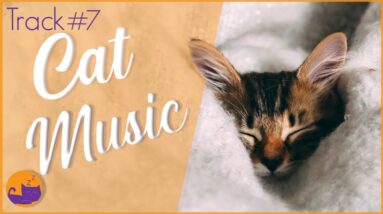 Relax My Cat - #7 ANTI-ANXIETY Music for Cats (DELUXE)