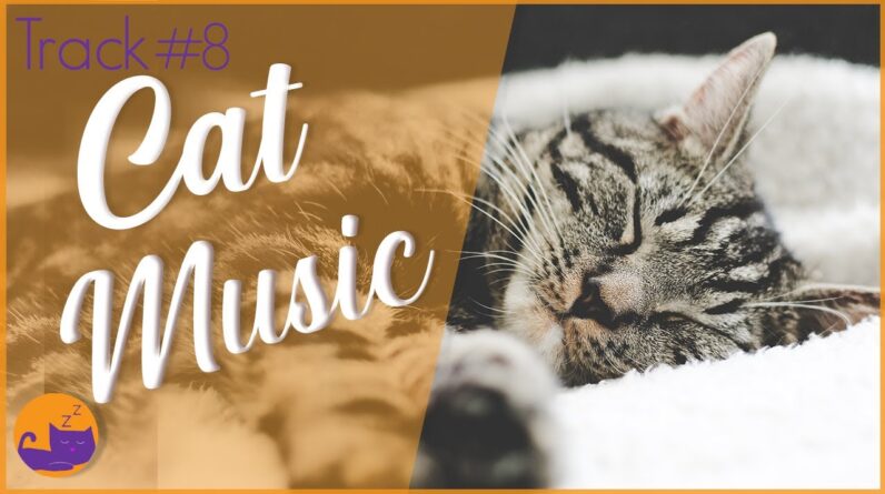 Relax My Cat - INSTANT BONDING - Relaxing Music (Premium Album)