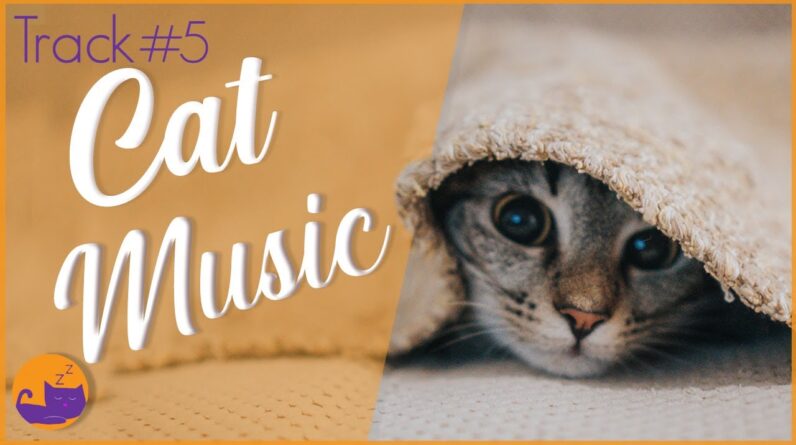 Relax Your Cat Fast - #6 INSTANT Relaxation (Deluxe Album)