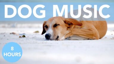 8 HOURS of Deep Separation Anxiety Music for Dogs! Helped 20 Million Dogs Worldwide! NEW!