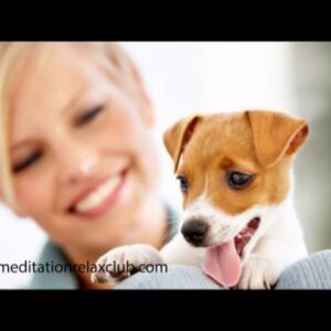 Sleep Music for Pet Therapy: Paw Friends