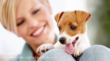 How To Calm Restless Animals: 3 HOURS Gentle Sounds to Reduce Pets Stress