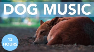 Pet Acoustics! Music for Dogs to Help with Sleep and Anxiety! NEW 2021