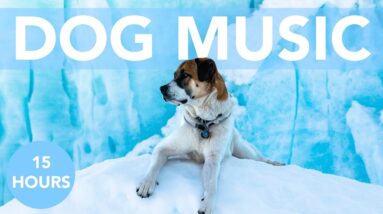 DOG MUSIC! Soothing ASMR to Help Your Dog Sleep! No More Anxiety!