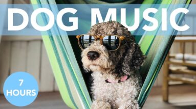 ASMR Calming Music for Dogs!
