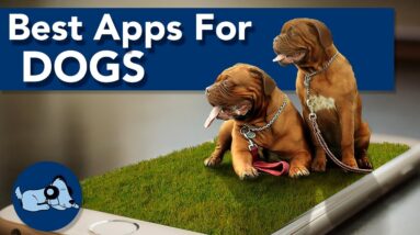 The 6 Best Apps for Dogs!