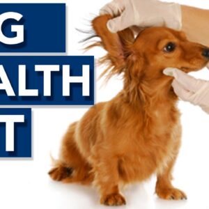 Dog Healthcare Checklist!