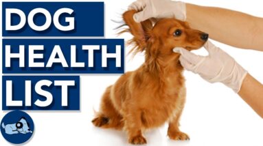 Dog Healthcare Checklist!