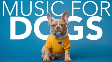 EXTRA LONG Music for Dogs! CLICK THIS to Relax Your Dog!