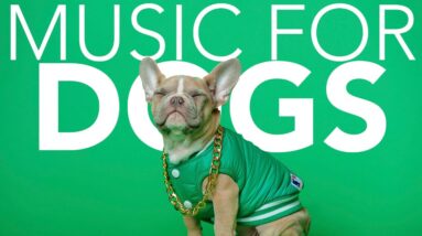 DOG MUSIC! Instant Dog Relaxation ASMR!