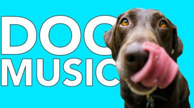 THE ULTIMATE LONG Relaxing Music for Dogs! Anxiety Relief!