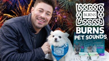 RELAX MY DOG Anxiety Music for Fireworks, Bonfire Night! In Collaboration with Duncan James!