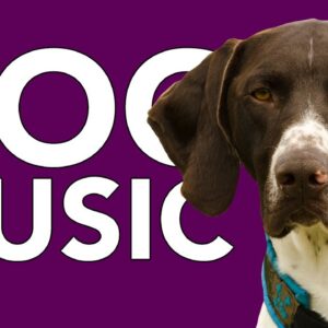 DOG MUSIC! Instant Dog Relaxation | 20 HOURS of Dog Sleep Music!