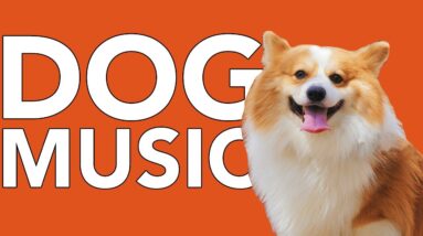 DOG MUSIC! Calming ASMR Background Music for Anxious Dogs!