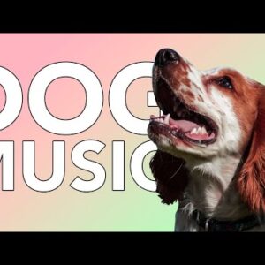 Music for Dogs! Calming Soundwaves for Dogs to Sleep and Relax!