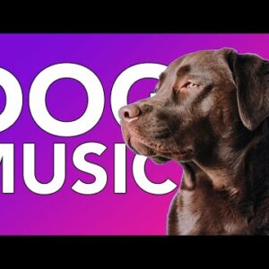 20 HOURS Relax My Dog Music: Helped 10 Million Dogs with Anxiety!