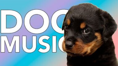 DOG MUSIC: Helped 10 MILLION Dogs Worldwide! Relaxing Sounds!