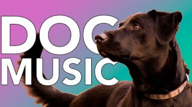 MUSIC FOR DOGS! 20 Hours of Calming Songs (Helped 20 Million Dogs)