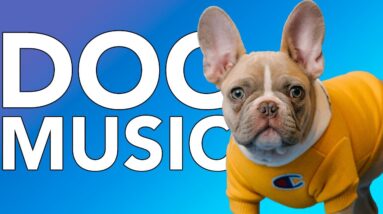 MUSIC FOR DOGS: 20 Hours of The Most Relaxing Music for Dogs & Puppies!