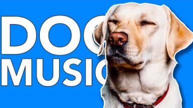 15 HOURS of Deep Sleep Music to Relax Your Dog! NEW 2022!