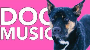 RELAX MY DOG MUSIC: Calming Melodies to Soothe Dogs and Puppies!