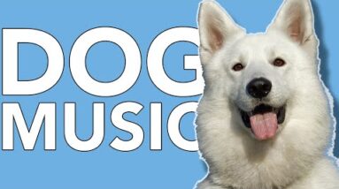 Dog Music: Deep Separation Anxiety Music to Help Your Dog Sleep & Relax!