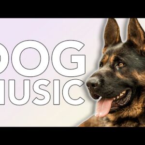 EXTREMELY Relaxing Music for Dogs! All Day Dog Music!