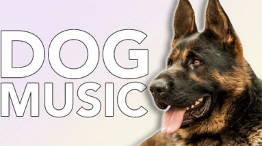 EXTREMELY Relaxing Music for Dogs! All Day Dog Music!