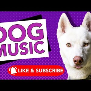 Music for All Dog Breeds! Relaxing ASMR Dog Music!