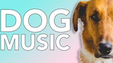 5 Hours of Relaxing Music for Dogs & Puppies!