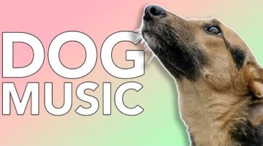 Music to Calm Dogs! - Try it Now with Relax My Dog!