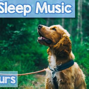 Deep Sleep Relaxing Dog Music! [20 HOURS]