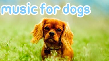 Anti-Anxiety Music for Dogs! Soothing Sleep Sounds