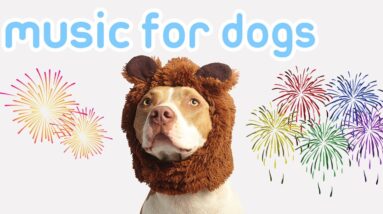 Fireworks Music for Dogs! Instant Anxiety Relief!