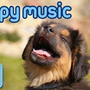 Music for Puppies! Calming Songs to Help Your Puppy Sleep!
